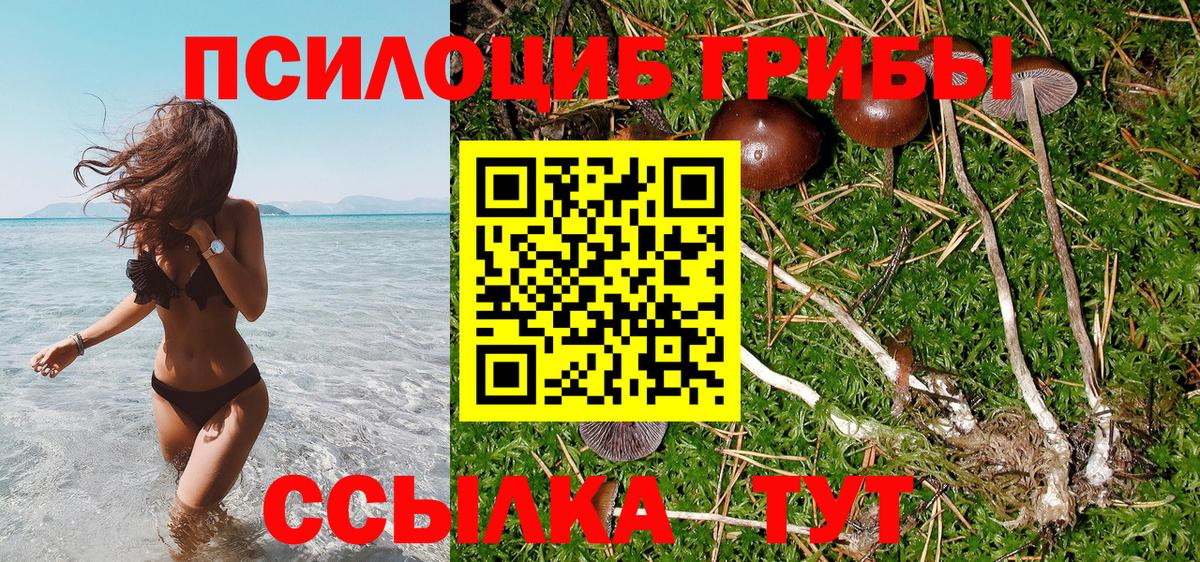 Балтийск  где купить   Псилоцибиновые грибы Magic Shrooms  Вход с VPN  Псилоцибиновые грибы ЛСД 