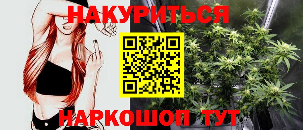 Конопля OG Kush Балтийск